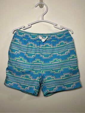 Chubbies Boys Swim Trunks in Desert Dawn